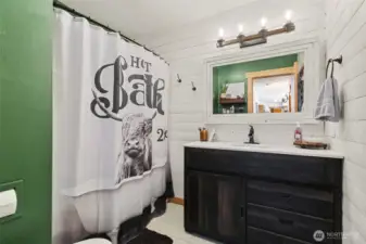 Downstairs guest bathroom