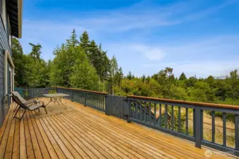 Large back deck