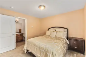 Lower level bedroom