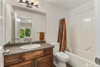 Lower level full bathroom