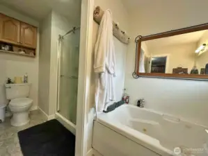Primary bathroom