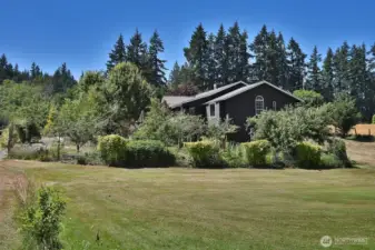 East side of your home and yard.