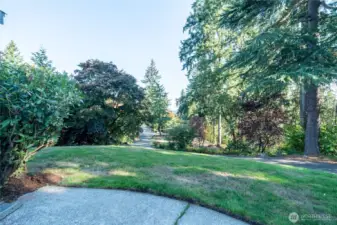 Peaceful front yard view looking northeast. The lot is surrounded by trees and greenery for exceptional privacy. On clear days, enjoy glimpses of the Cascade Mountains through the trees. The front part of the lot (in the background of this picture) has a rather large open space where a buyer may want to put a DADU. Buyer to verify. It's rare to have such a large lot in Shoreline that offers so much potential.