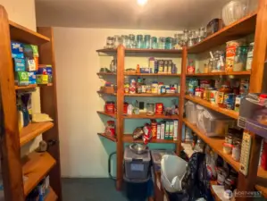 View of the pantry from the back door.