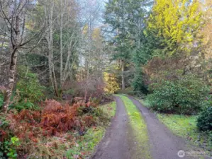 Gently sloping driveway into the quiet and picturesque property.