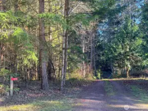 Almost at the end of Black Bear Rd., a non-through roadway, enter 890 Black Bear Rd. property on the gently sloping driveway surrounded by wonderful woods.