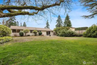 Backyard without editing grass color for seasonality.