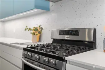 Gas Range Stove