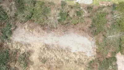 Drain field from above.