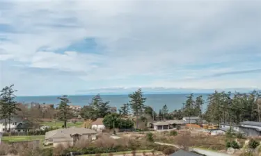 Potential views