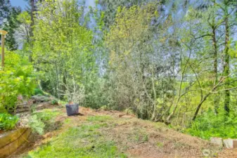 Property line goes back to just below the backyard
