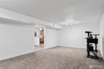 Very large family room on lower level