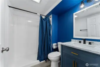Lower level bathroom