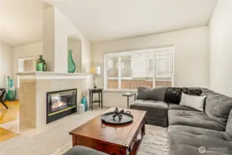 Dual Sided Gas Fireplace