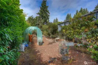 Greenhouse
