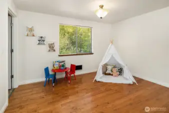 Lower level living/rec room