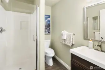 Lower level 3rd bathroom