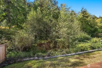 Lush green belt with private pond. Tons of fun and exploration.