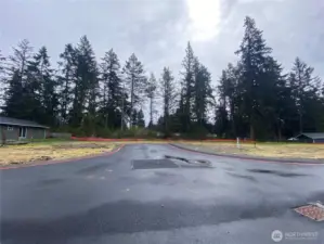 lot 2 on left side, lot 3 on right side.lot 4 is far right back lot.