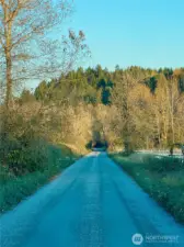 entrance to the road from Orville Rd