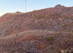 views of hancock just off the property