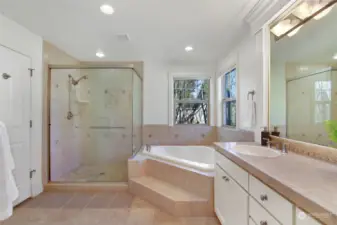 Primary bath with step-in soaking tub, oversized shower, decorative tile, skylight and dual vanities.