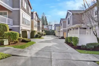 This alleyway is AWESOME. Beautiful stamped concrete. Basically use this as your big backyard. Great for safe playing and bike riding, letting the dog run, washing your car and meeting up with neighbors.