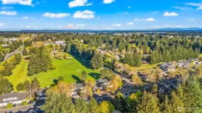 Community View