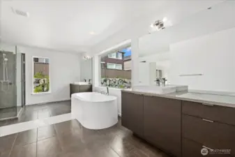Primary Suite bathroom