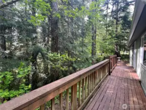 Back deck overlooking the forest