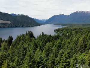 Lake Cushman - Live, Adventure & Relax in this beautiful area!