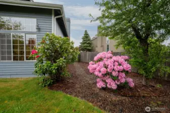Seasonal blooms