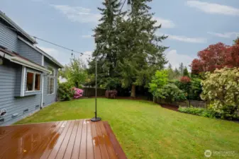 Styled yard