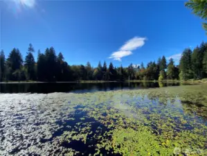 Enjoy access to peaceful, stocked Springer Lake-- exclusive to the Springer Hills community.  Spend the day fishing, kayaking or just reflecting on the beauty of nature. Relax, reflect, recharge!