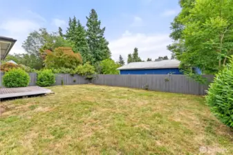 Nice size backyard