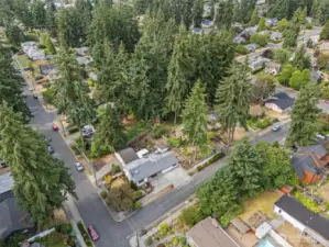 Fantastic Corner Lot