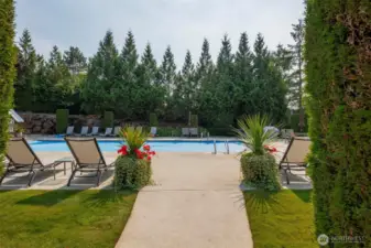 Private community swimming pool!