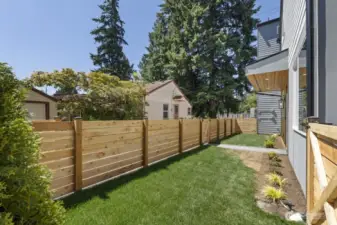 Front Yard