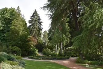 Volunteer Park, a crown jewel of the city