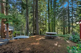 Bridge to the picnic area!