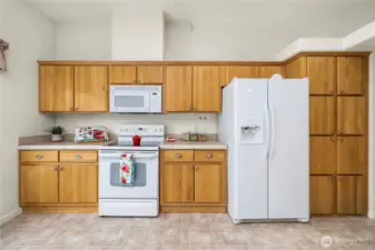 Large pantry cabinets located to the right of the fridge.