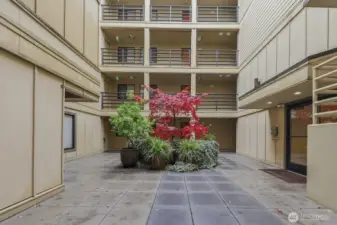 Courtyard brings you to the secure building entrance.