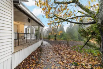 View of the Greenbelt in Backyard