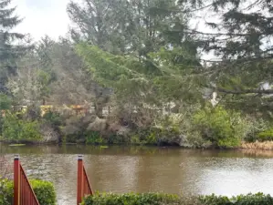 amazing views of canal