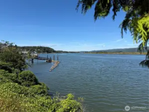 Willapa River is near