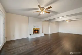 Another view of the lower level Great Room.