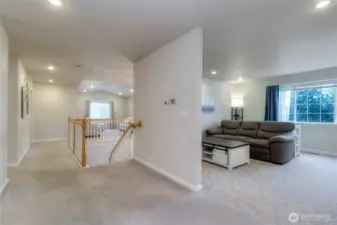 Main Level TV Room/Foyer