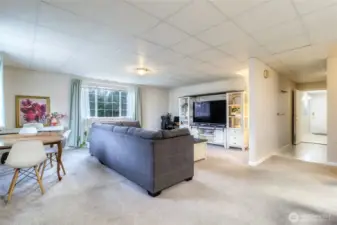 Lower Level Living Room