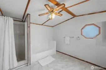 A look at the tub and the shower.