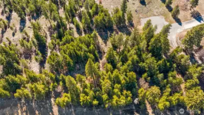 Beautifully treed lot!